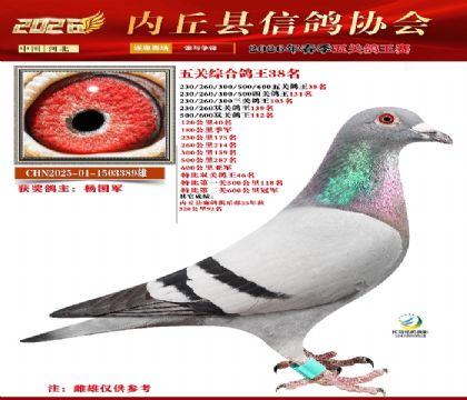 ��ظ���38��