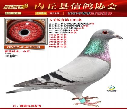 ��ظ���39��