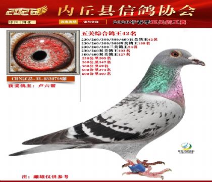 ��ظ���42��