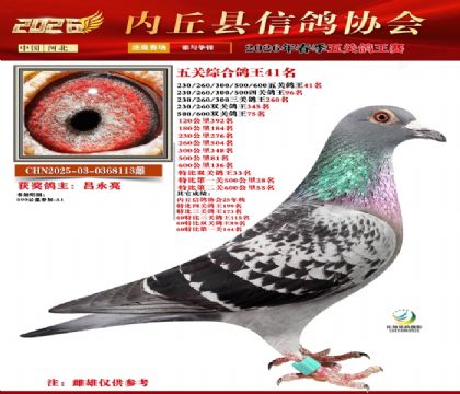 ��ظ���41��