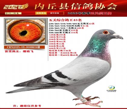 ��ظ���43��