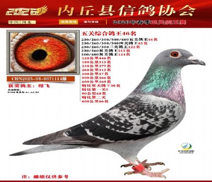 ��ظ���46��