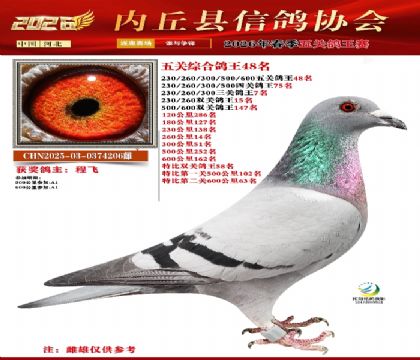 ��ظ���48��