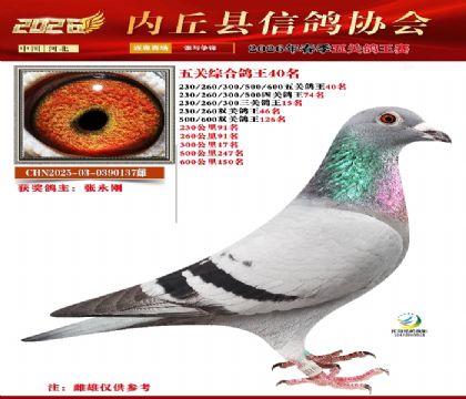 ��ظ���40��