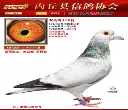 500-600����˫�ظ���39��