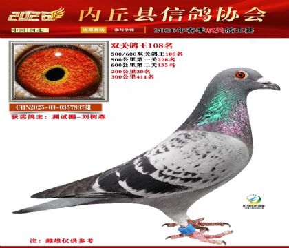 500-600����˫�ظ���108��