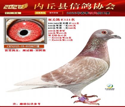 500-600����˫�ظ���121��