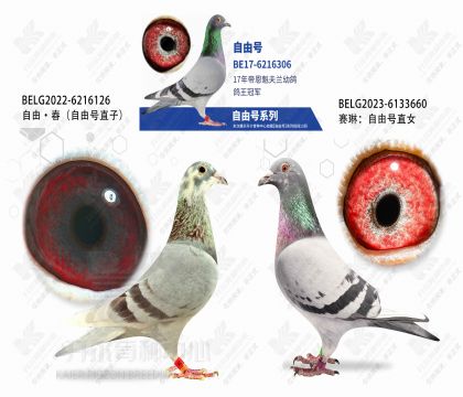 ���ɺ�ֱ��XֱŮ