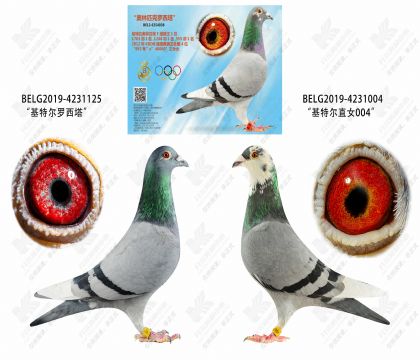 1-������ֱ��XֱŮ