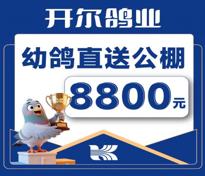 ������ҵ-�׸�ֱ�͹���-8800Ԫ