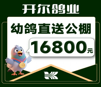 ������ҵ-�׸�ֱ�͹���-16800Ԫ