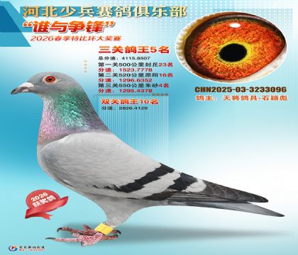 �ٱ����ظ���5��