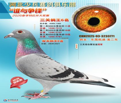 �ٱ����ظ���6��