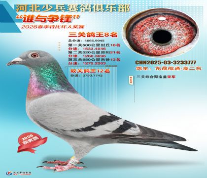 �ٱ����ظ���8��