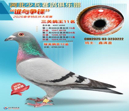 �ٱ����ظ���11��