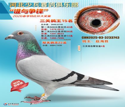 �ٱ����ظ���15��