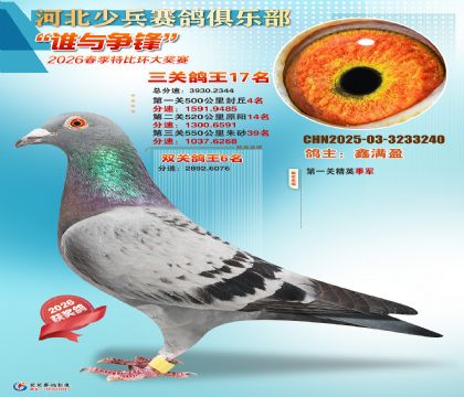 �ٱ����ظ���17��