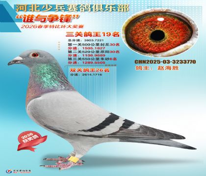 �ٱ����ظ���19��