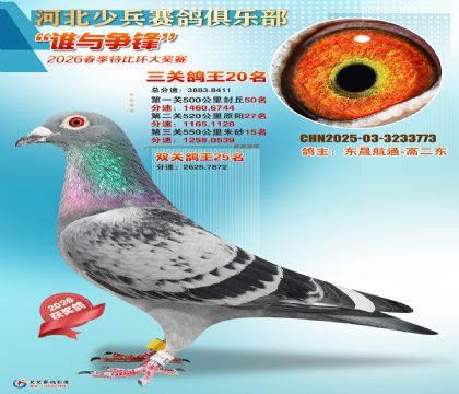 �ٱ����ظ���20��