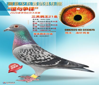 �ٱ����ظ���21��