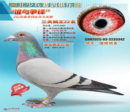 �ٱ����ظ���22��