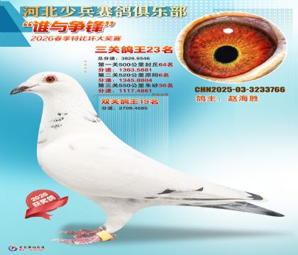 �ٱ����ظ���23��