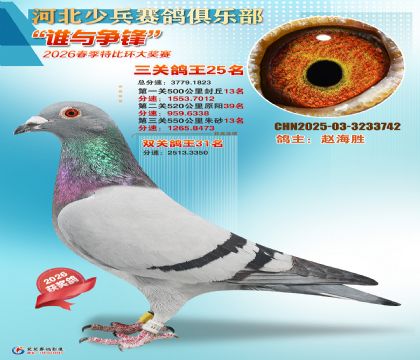 �ٱ����ظ���25��