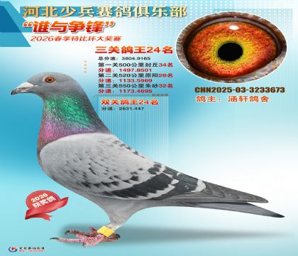 �ٱ����ظ���24��