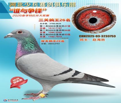 �ٱ����ظ���26��