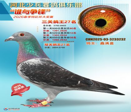 �ٱ����ظ���27��