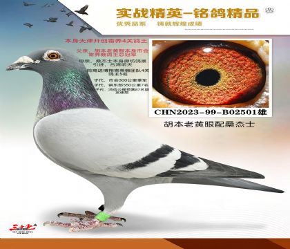 ������ɣ��ʿ