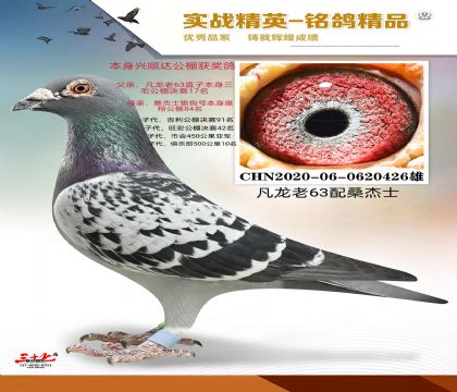 ������63��ɣ��ʿ