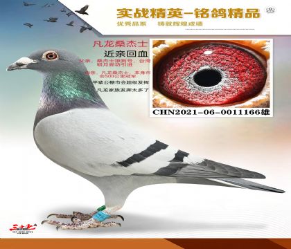 ����ɣ��ʿ     ���׻�Ѫ