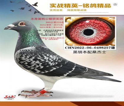 �ں�����ɣ��ʿ