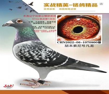 ��������ŷ���