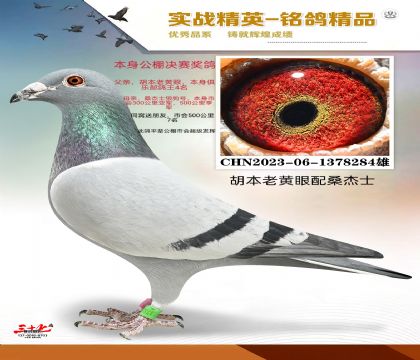 ������ɣ��ʿ