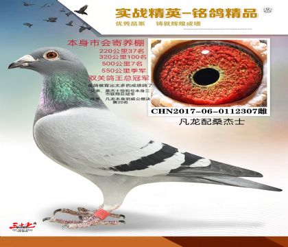 ������ɣ��ʿ  �����ھ�