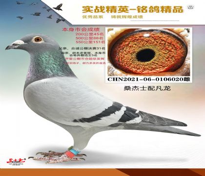 ɣ��ʿ�䷲��