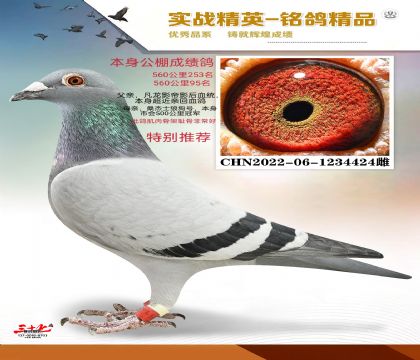 ����Ӱ��Ӱ��ɣ��ʿ