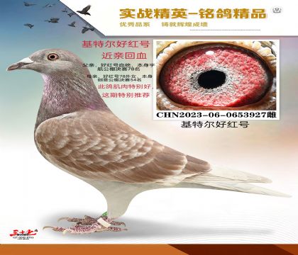 �ú�Ż��ض�