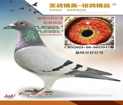 �ú�Ż��ض�  ���׻�Ѫ