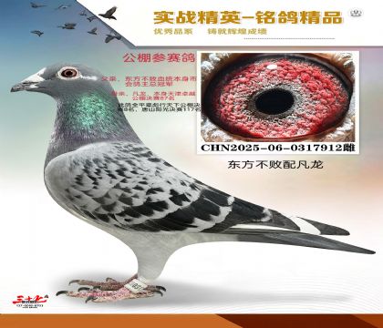 ���������䷲��