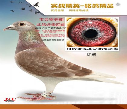 ���  ���׻�Ѫ