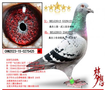 ɣ��ʿ��һ��ʿԭ������