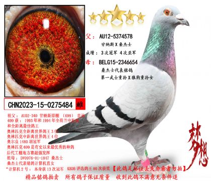 ����˹Xɣ��ʿ����һ��ʿ����X�ǹ�������Ů