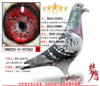 ���������ȣ�������ɣ��ʿ����������X���������顱