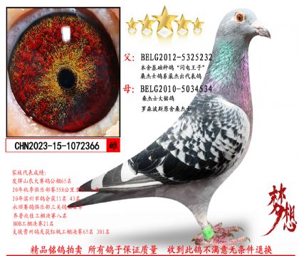 ���Ƽ��ִƣ�ɣ��ʿ��������Xɣ��ʿ������