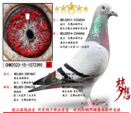 2023-15-1072380 ��_����