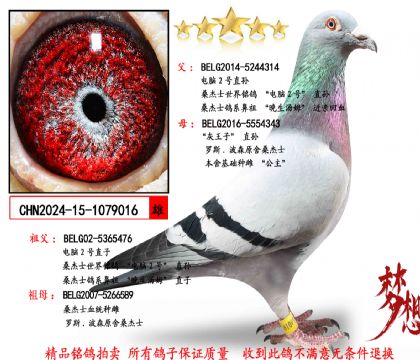 �������Ƽ���ɣ��ʿ����2��ֱ��X������ֱ��