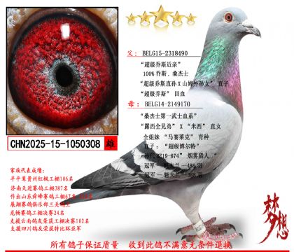 ����˹�� ɣ��ʿ��������308